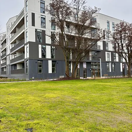 Dino * 브로츠와프